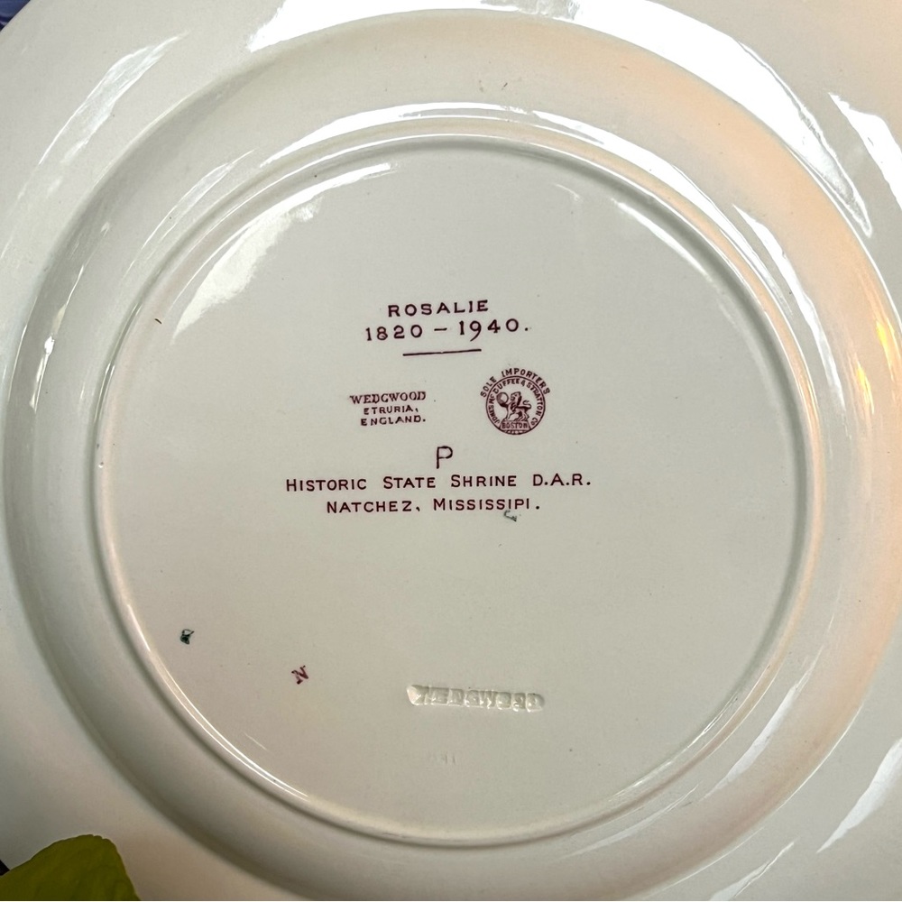 Vintage Wedgwood “Rosalie” Commemorative Mississippi 11” Plate - Picture 4 of 4